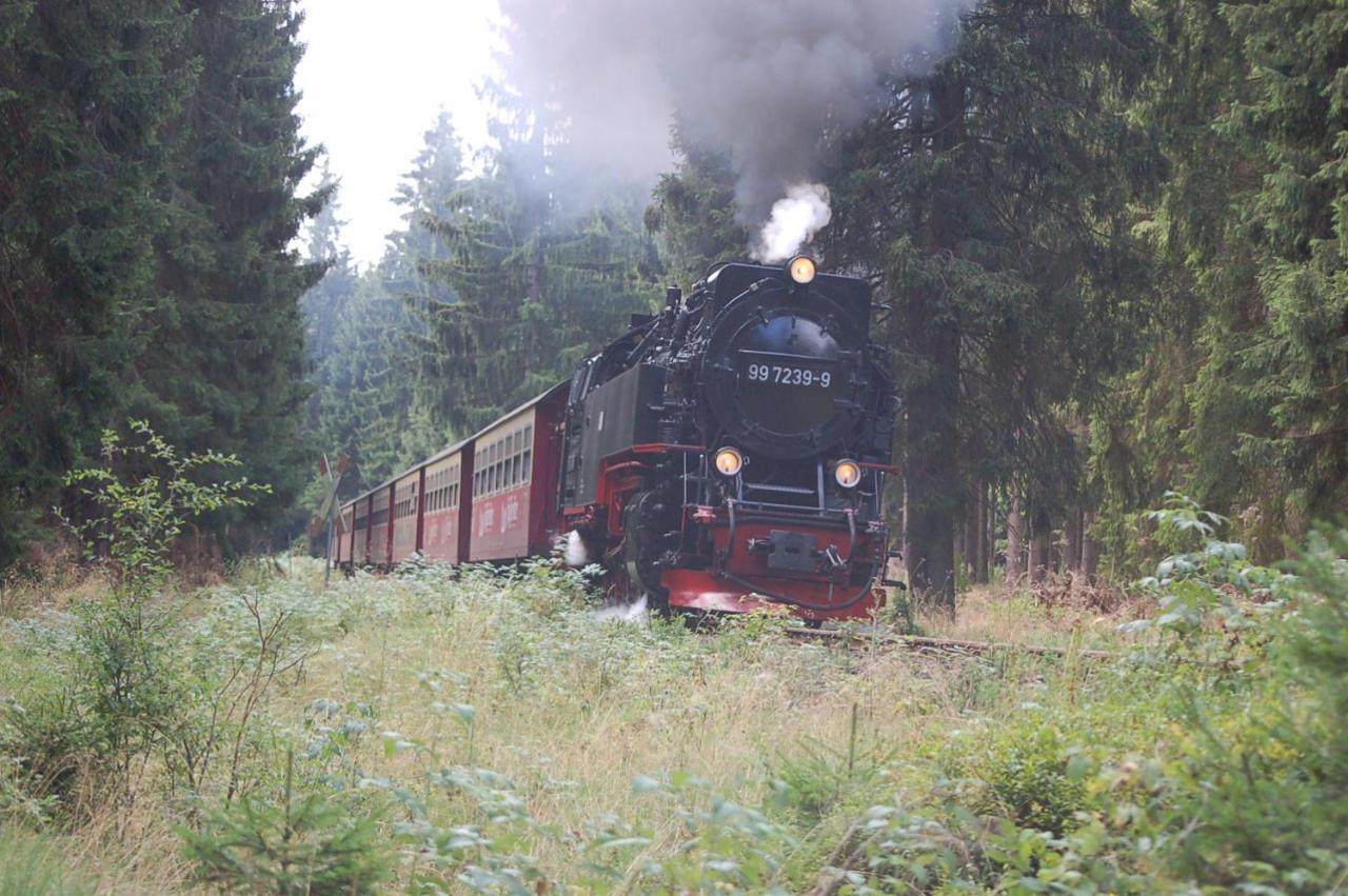 Behagliches Ferienhaus Zaunkoenig -Mit Kamin Und Sauna Tanne Bagian luar foto